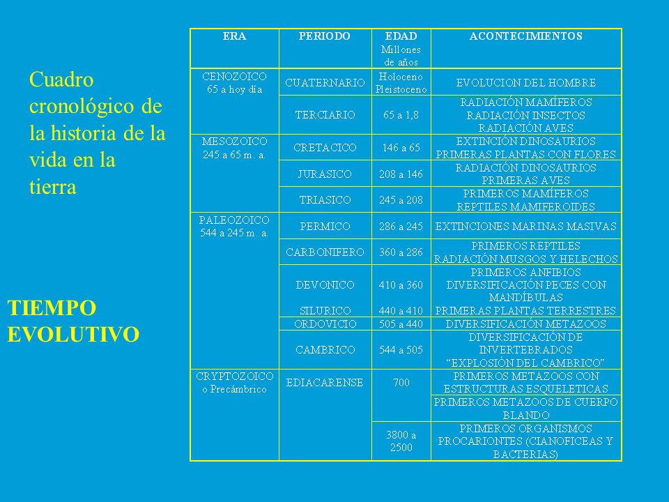 Cuadro cronológico de la historia de la vida en la tierra