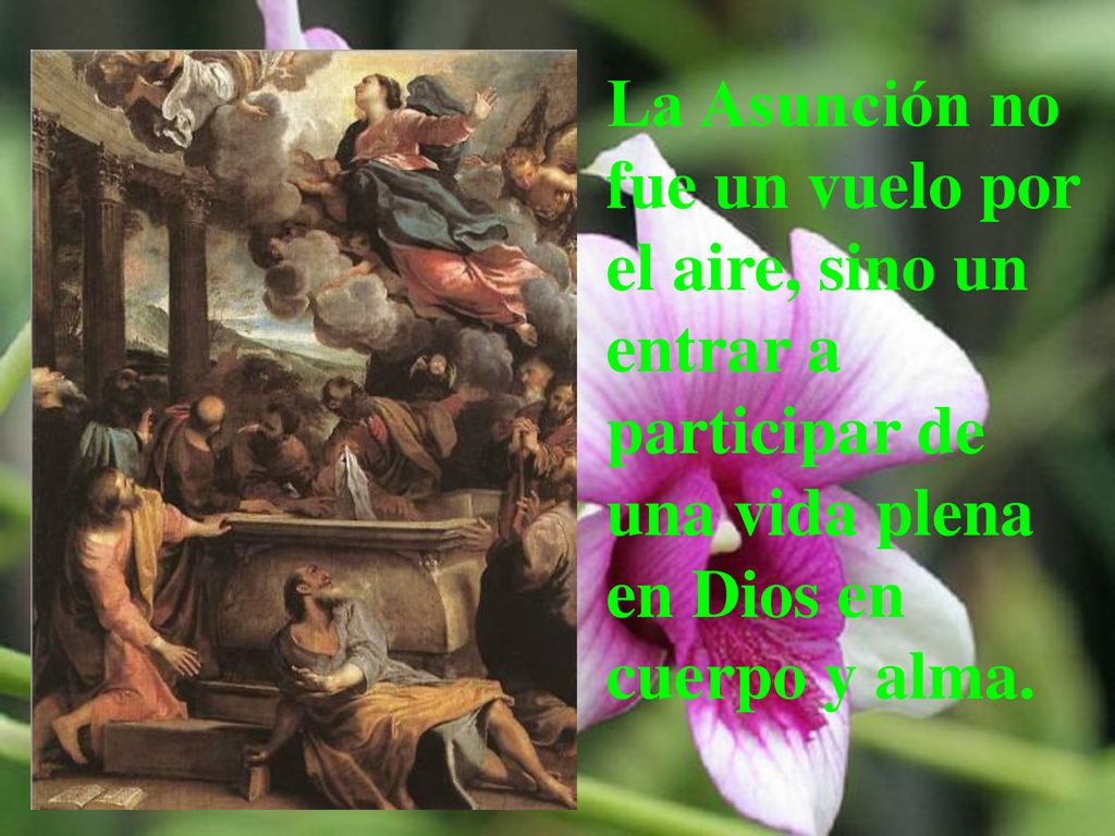 La Asunción no fue un vuelo por el aire, sino un entrar a participar de una vida plena en Dios en cuerpo y alma.