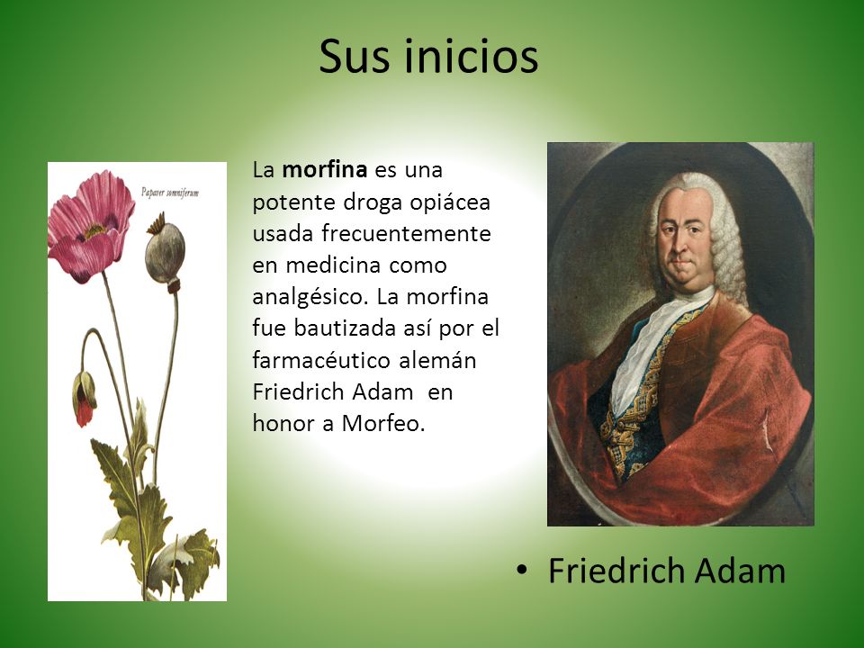 Sus inicios Friedrich Adam