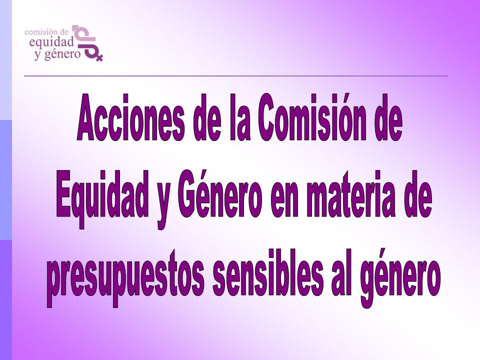Acciones de la Comisión de Equidad y Género en materia de