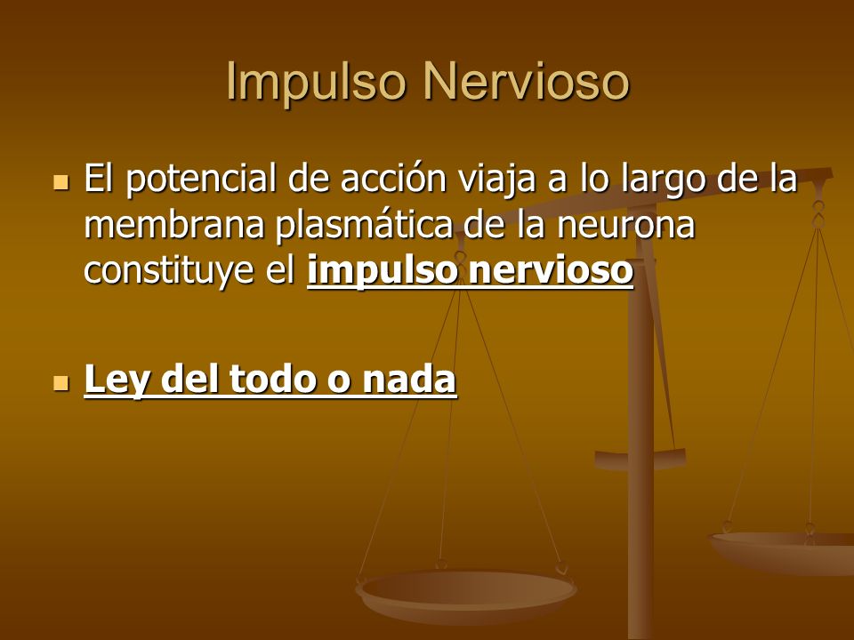Impulso Nervioso El potencial de acción viaja a lo largo de la membrana plasmática de la neurona constituye el impulso nervioso.
