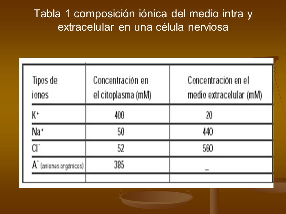 Tabla 1 composición iónica del medio intra y extracelular en una célula nerviosa