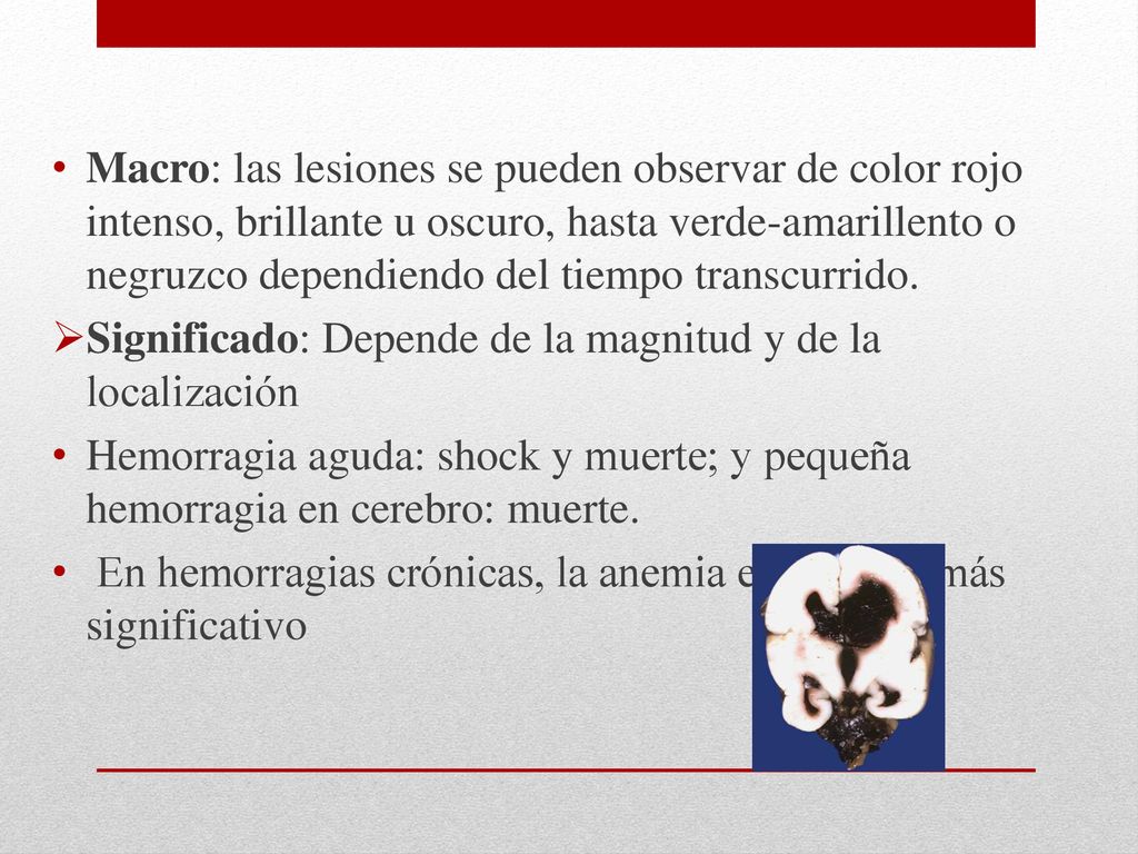 Macro: las lesiones se pueden observar de color rojo intenso, brillante u oscuro, hasta verde-amarillento o negruzco dependiendo del tiempo transcurrido.