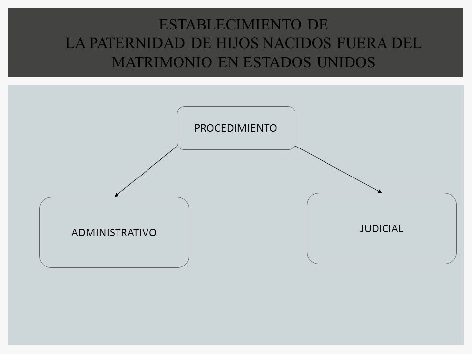 LA PATERNIDAD DE HIJOS NACIDOS FUERA DEL MATRIMONIO EN ESTADOS UNIDOS