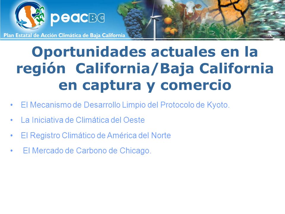 Oportunidades actuales en la región California/Baja California en captura y comercio