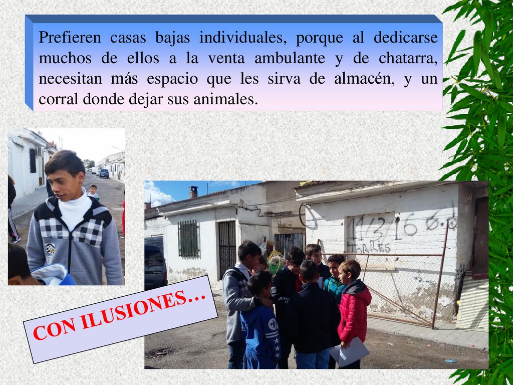 Prefieren casas bajas individuales, porque al dedicarse muchos de ellos a la venta ambulante y de chatarra, necesitan más espacio que les sirva de almacén, y un corral donde dejar sus animales.