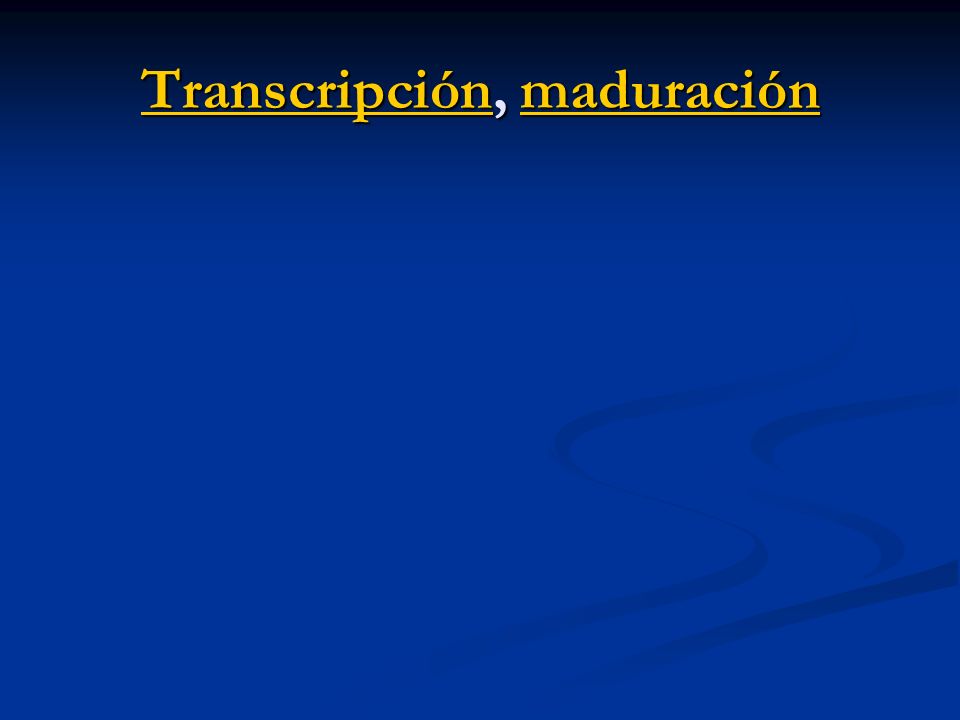 Transcripción, maduración