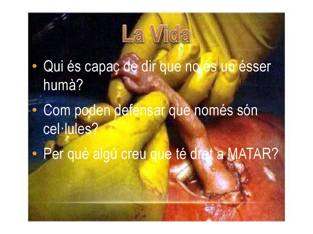 La Vida Qui és capaç de dir que no és un ésser humà