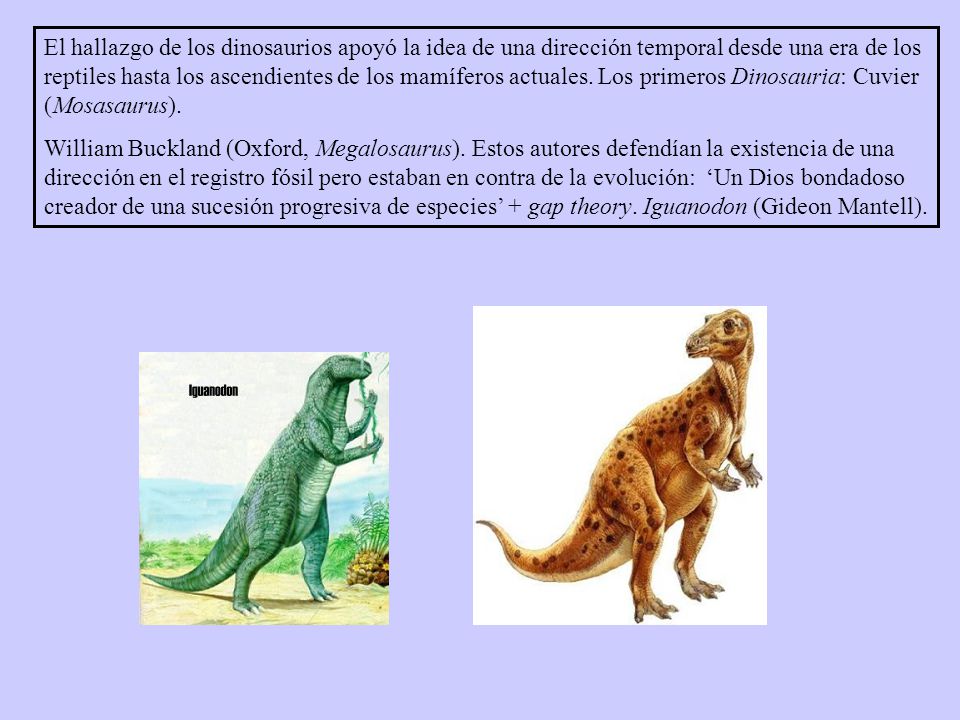 El hallazgo de los dinosaurios apoyó la idea de una dirección temporal desde una era de los reptiles hasta los ascendientes de los mamíferos actuales. Los primeros Dinosauria: Cuvier (Mosasaurus).
