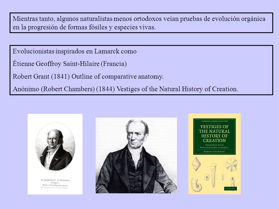Mientras tanto, algunos naturalistas menos ortodoxos veían pruebas de evolución orgánica en la progresión de formas fósiles y especies vivas.