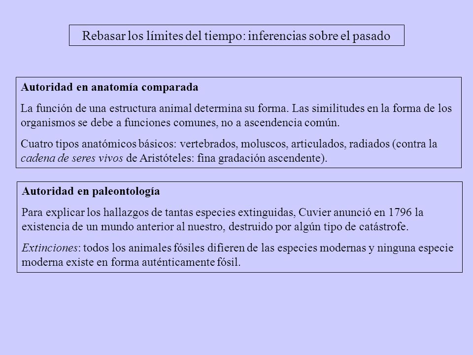 Rebasar los límites del tiempo: inferencias sobre el pasado