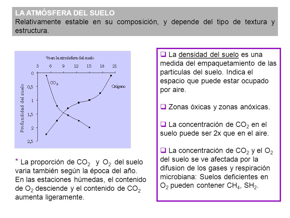 LA ATMÓSFERA DEL SUELO Relativamente estable en su composición, y depende del tipo de textura y estructura.