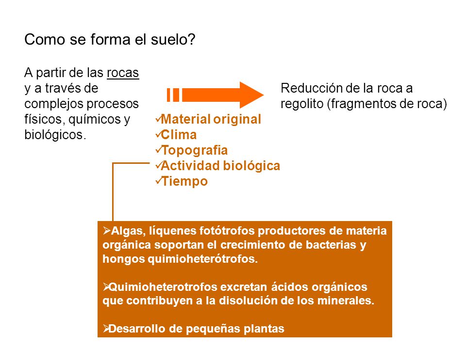 Como se forma el suelo A partir de las rocas y a través de complejos procesos físicos, químicos y biológicos.