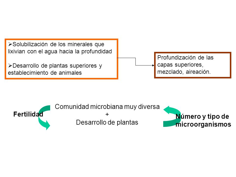 Comunidad microbiana muy diversa
