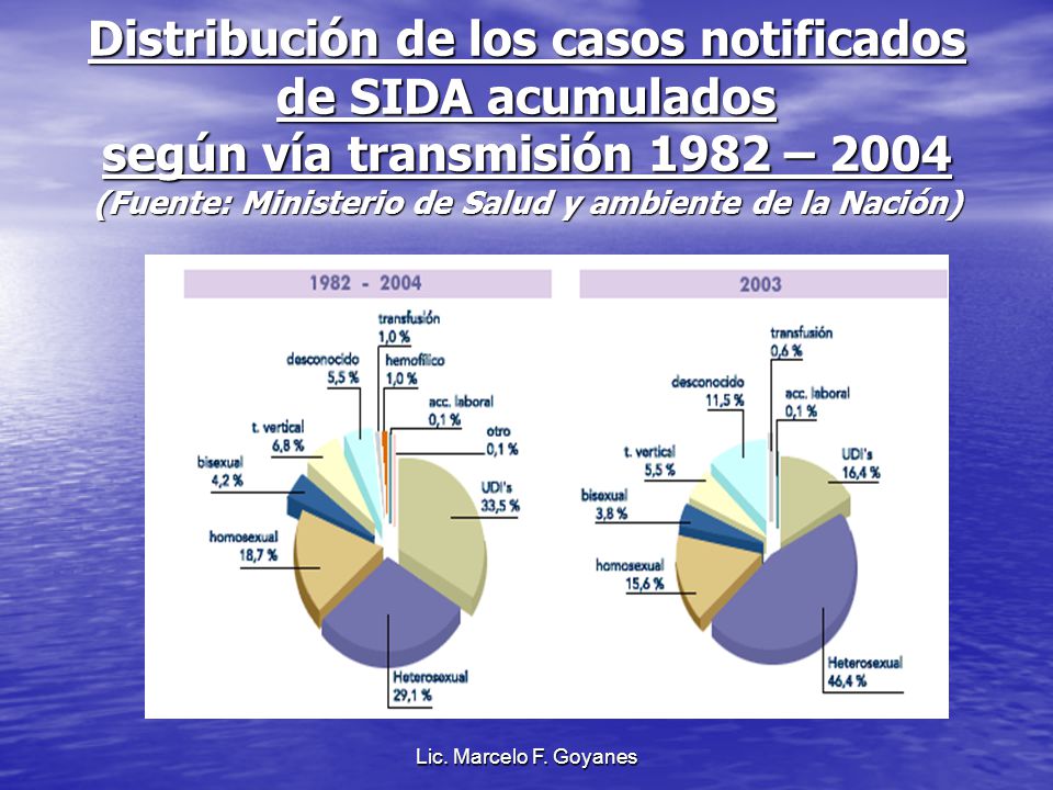 Distribución de los casos notificados de SIDA acumulados según vía transmisión 1982 – 2004 (Fuente: Ministerio de Salud y ambiente de la Nación)