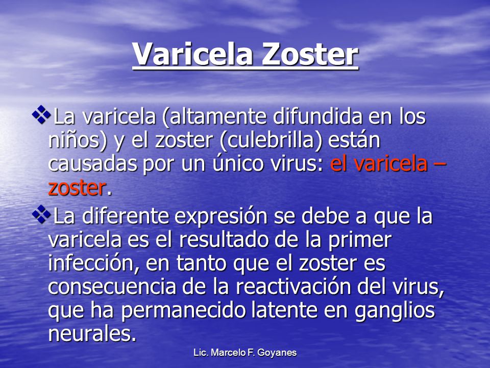 Varicela Zoster La varicela (altamente difundida en los niños) y el zoster (culebrilla) están causadas por un único virus: el varicela – zoster.