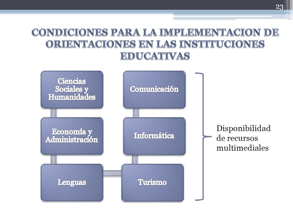 CONDICIONES PARA LA IMPLEMENTACION DE ORIENTACIONES EN LAS INSTITUCIONES EDUCATIVAS