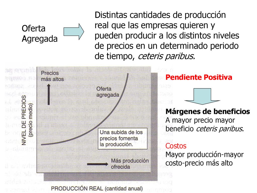 Distintas cantidades de producción real que las empresas quieren y pueden producir a los distintos niveles de precios en un determinado periodo de tiempo, ceteris paribus.
