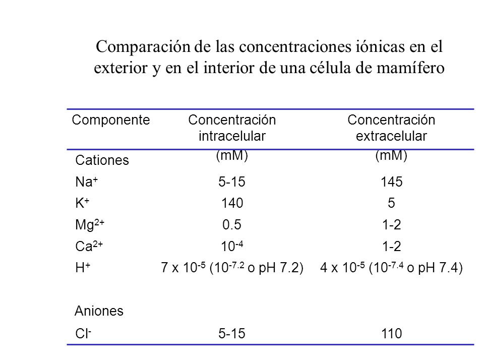 Comparación de las concentraciones iónicas en el exterior y en el interior de una célula de mamífero