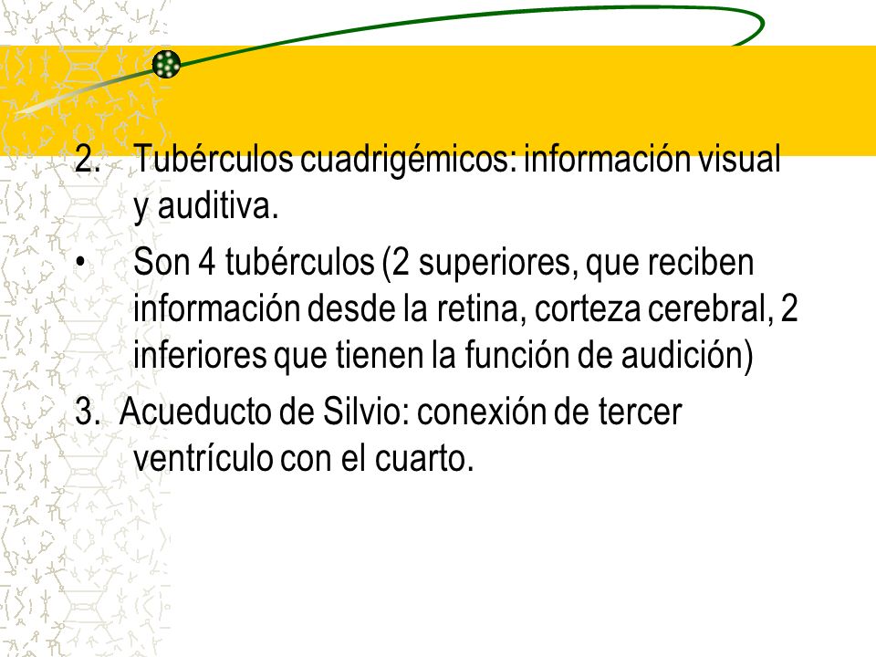 Tubérculos cuadrigémicos: información visual y auditiva.