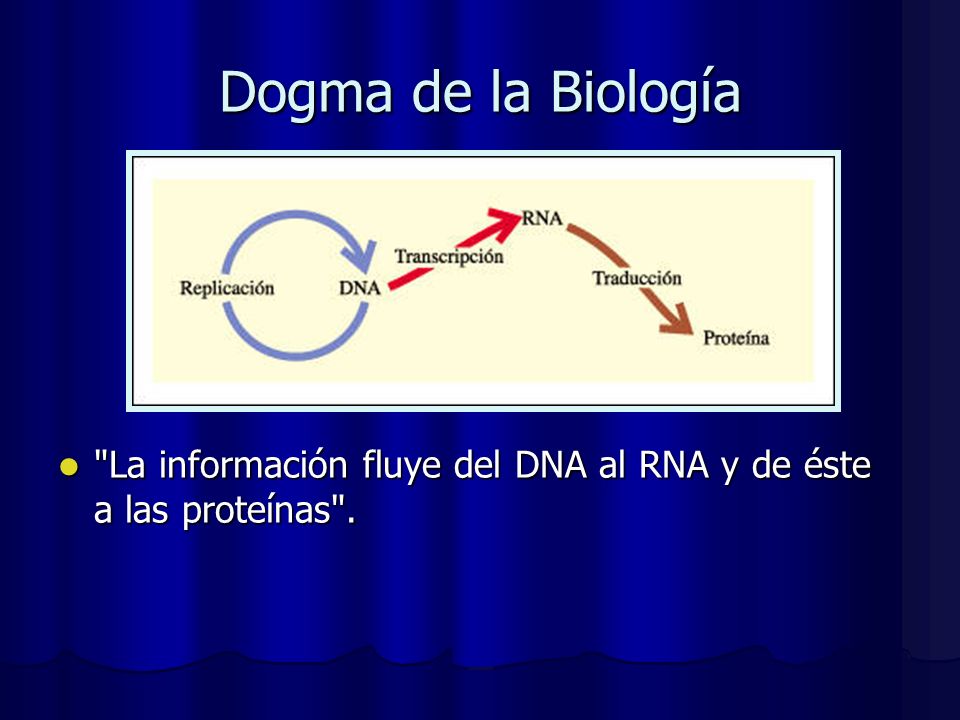 Dogma de la Biología La información fluye del DNA al RNA y de éste a las proteínas .