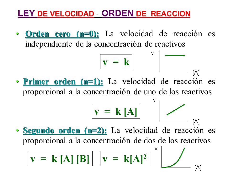 v = k v = k [A] v = k [A] [B] v = k[A]2