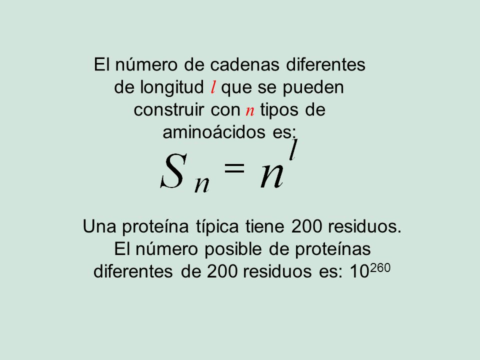 El número de cadenas diferentes de longitud l que se pueden construir con n tipos de aminoácidos es: