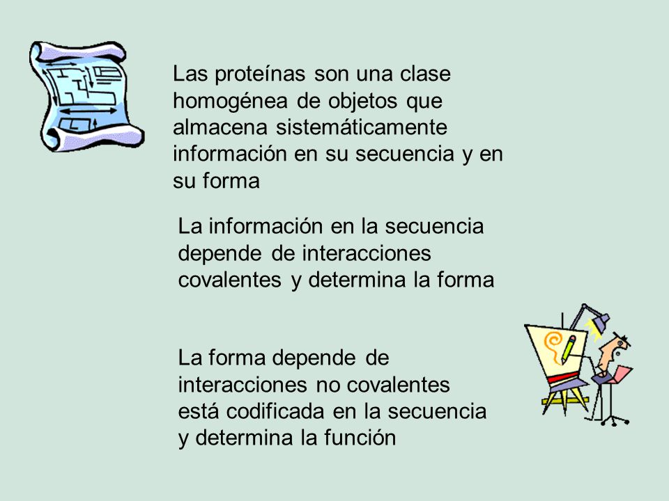 Las proteínas son una clase homogénea de objetos que almacena sistemáticamente información en su secuencia y en su forma