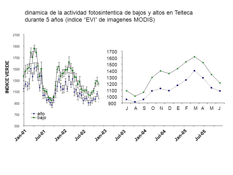 dinamica de la actividad fotosintentica de bajos y altos en Telteca