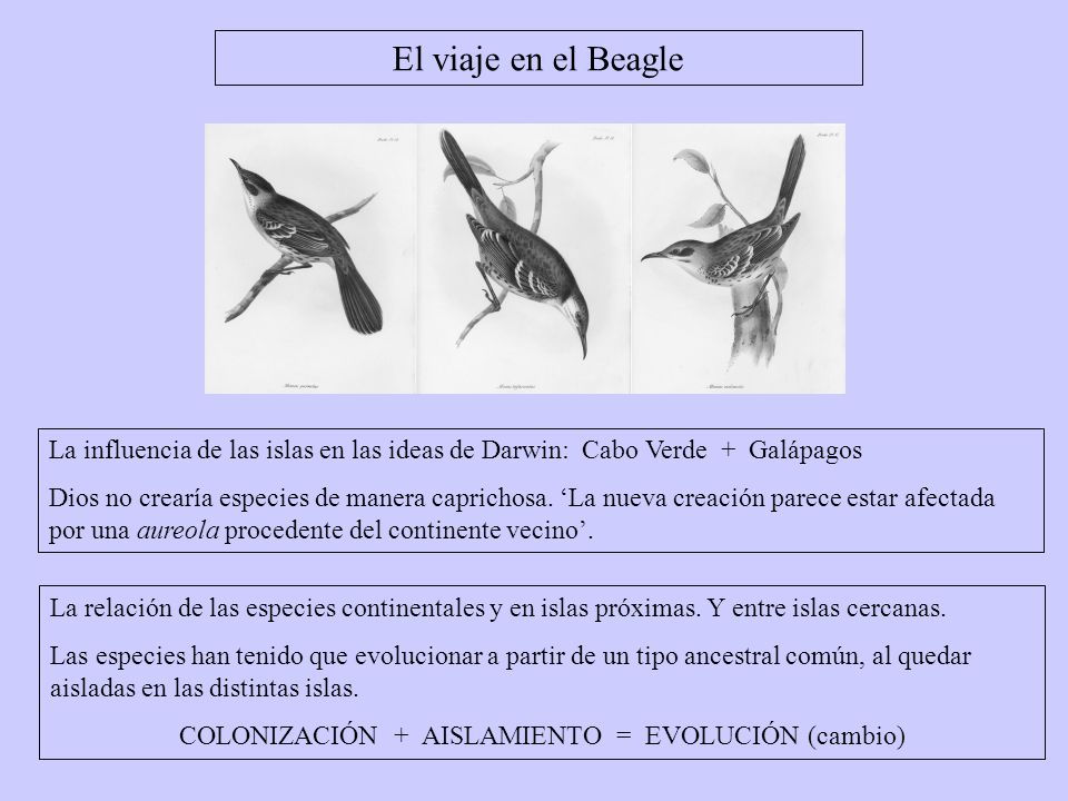 COLONIZACIÓN + AISLAMIENTO = EVOLUCIÓN (cambio)