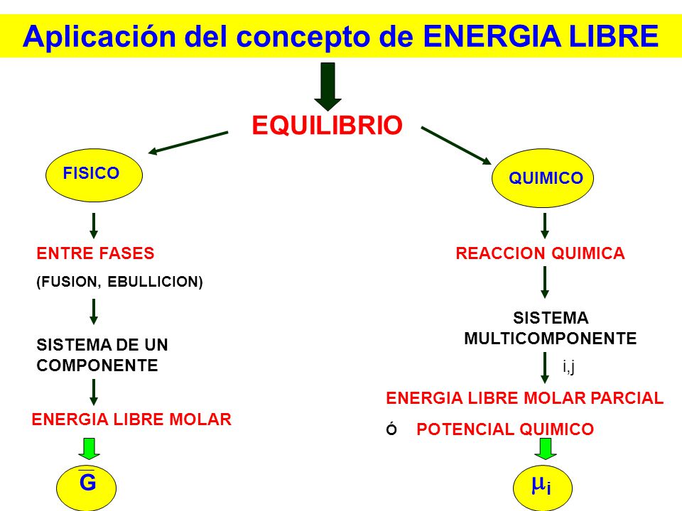 Aplicación del concepto de ENERGIA LIBRE SISTEMA MULTICOMPONENTE
