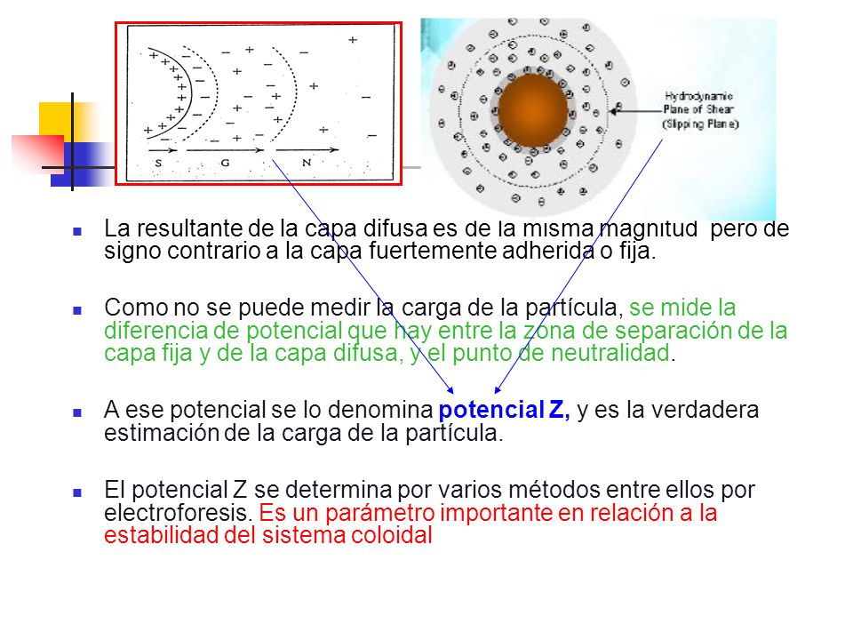 La resultante de la capa difusa es de la misma magnitud pero de signo contrario a la capa fuertemente adherida o fija.