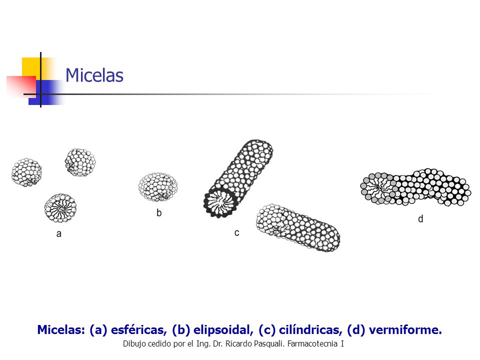 Micelas Micelas: (a) esféricas, (b) elipsoidal, (c) cilíndricas, (d) vermiforme.