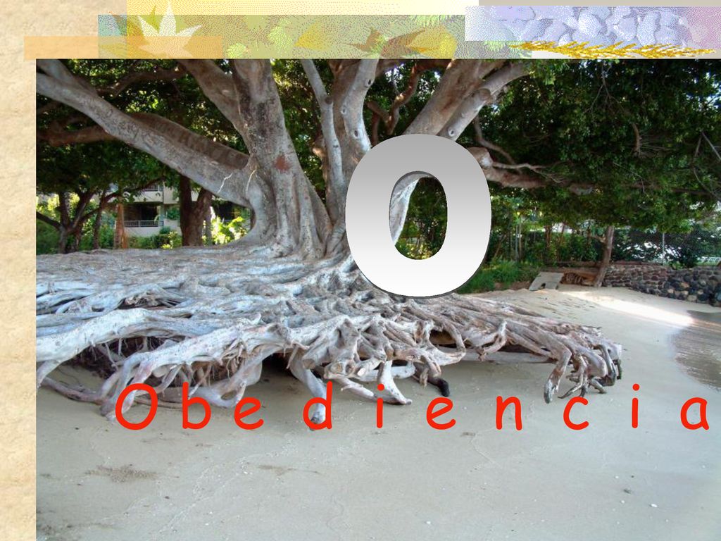 O O b e d i e n c i a
