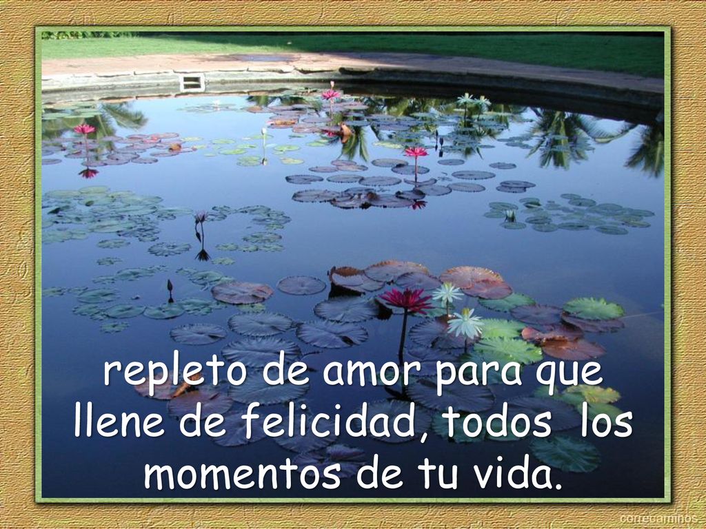 repleto de amor para que llene de felicidad, todos los momentos de tu vida.