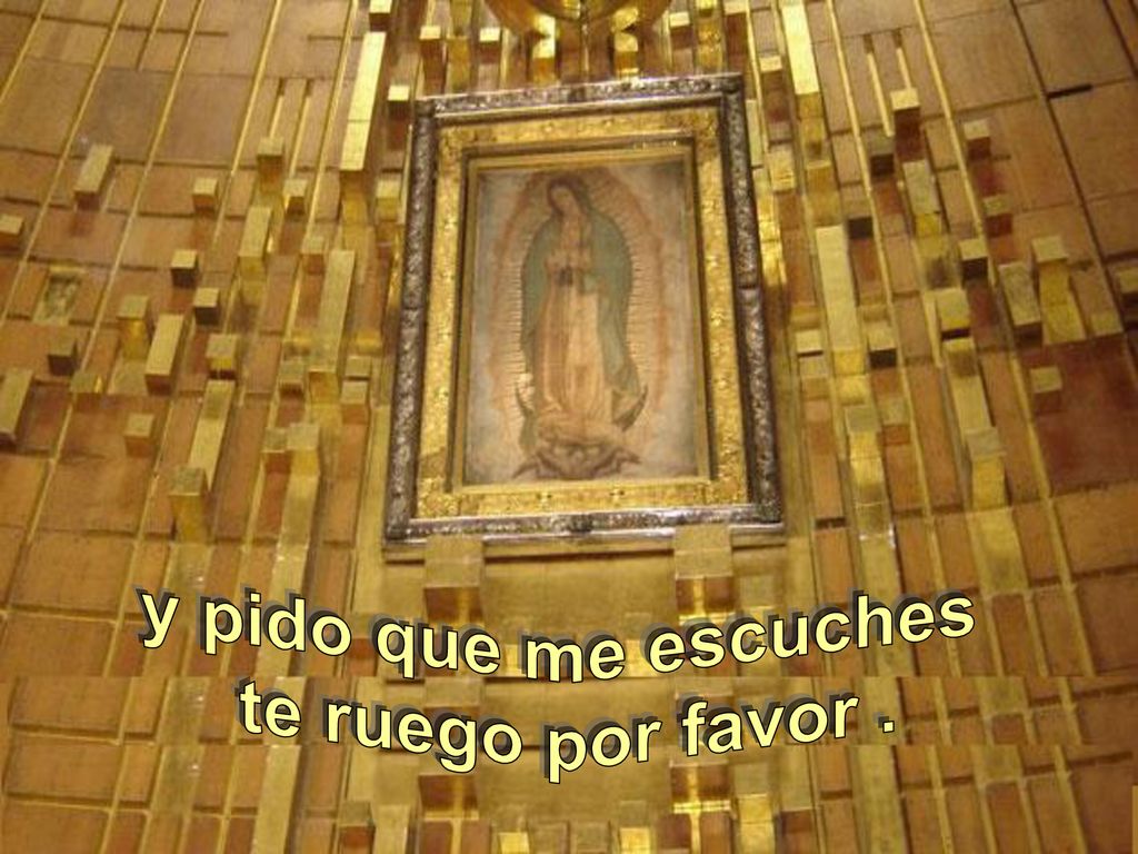 y pido que me escuches te ruego por favor .