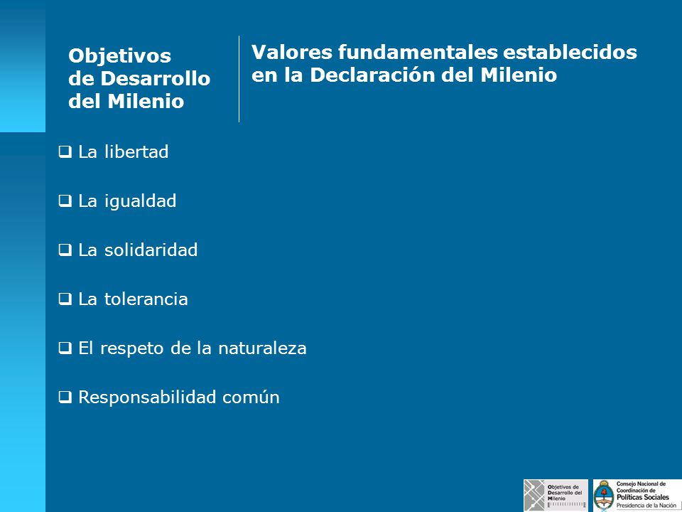Valores fundamentales establecidos en la Declaración del Milenio