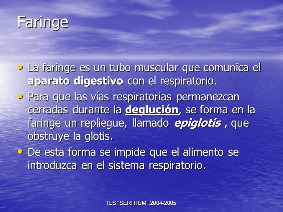 Faringe La faringe es un tubo muscular que comunica el aparato digestivo con el respiratorio.