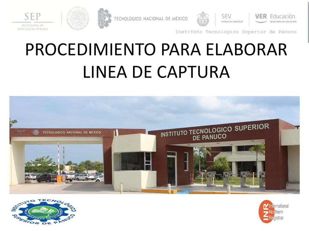 Procedimiento Para Elaborar Linea De Captura Ppt Descargar