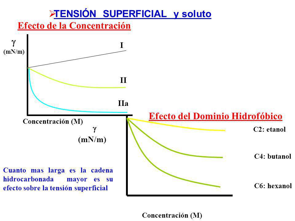  TENSIÓN SUPERFICIAL y soluto Efecto de la Concentración 