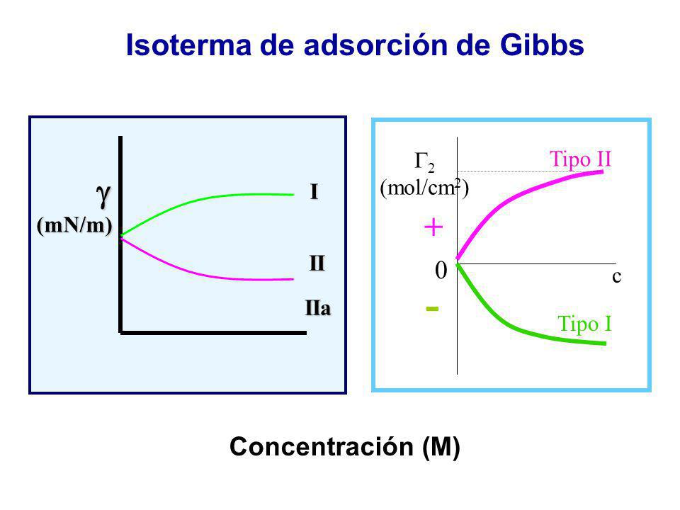 + Isoterma de adsorción de Gibbs  Concentración (M) 2 Tipo II