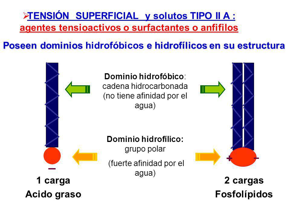 TENSIÓN SUPERFICIAL y solutos TIPO II A : agentes tensioactivos o surfactantes o anfifilos