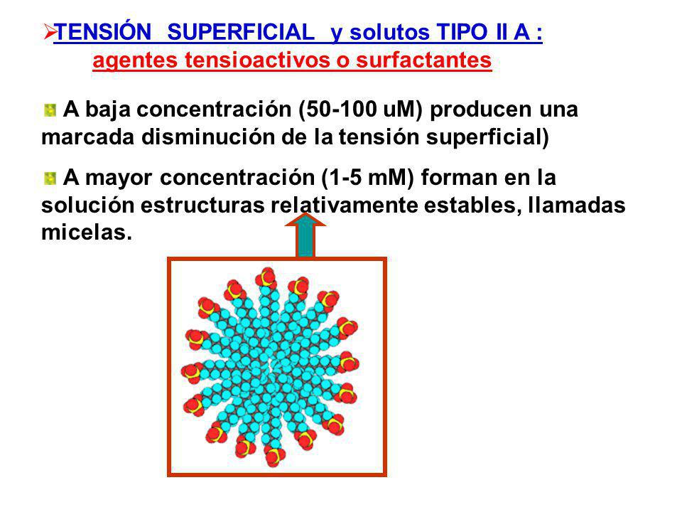 TENSIÓN SUPERFICIAL y solutos TIPO II A : agentes tensioactivos o surfactantes
