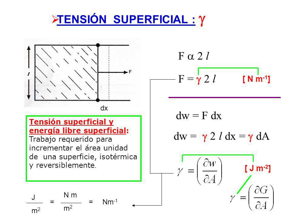 TENSIÓN SUPERFICIAL : 