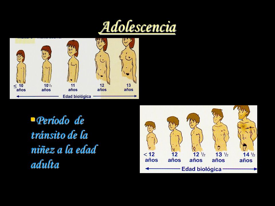 Adolescencia Período de tránsito de la niñez a la edad adulta
