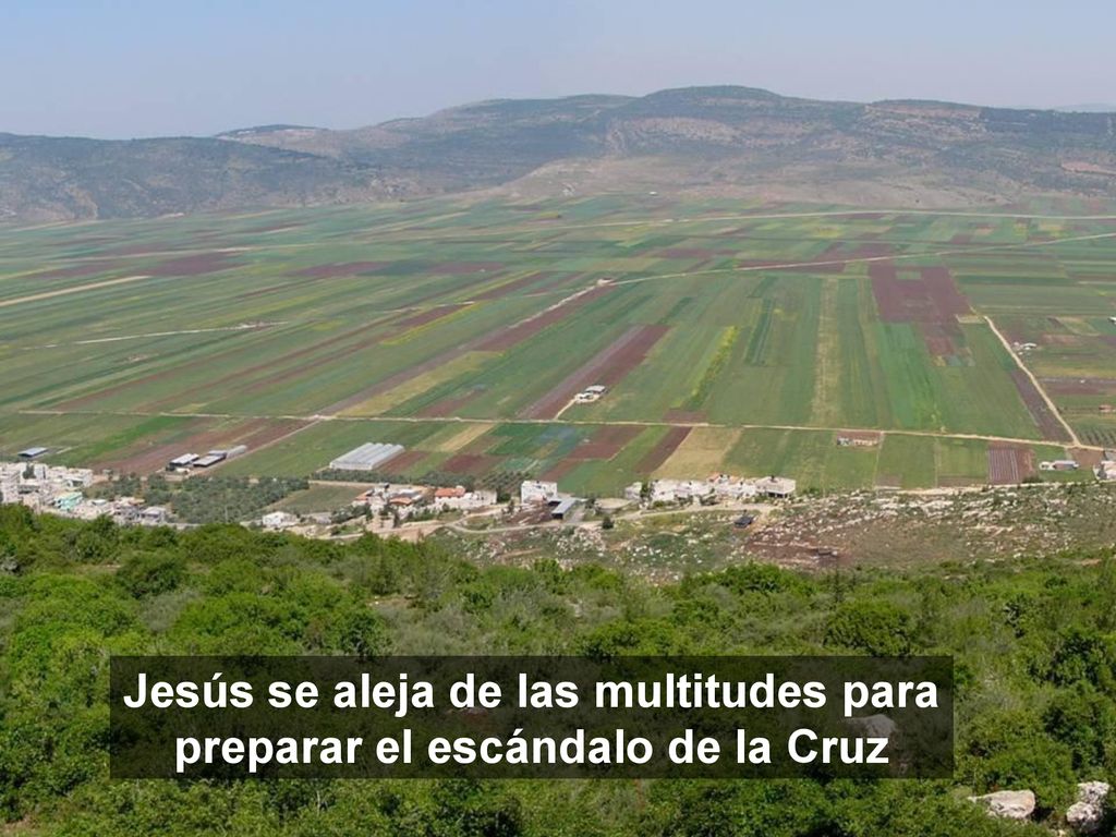 Jesús se aleja de las multitudes para preparar el escándalo de la Cruz