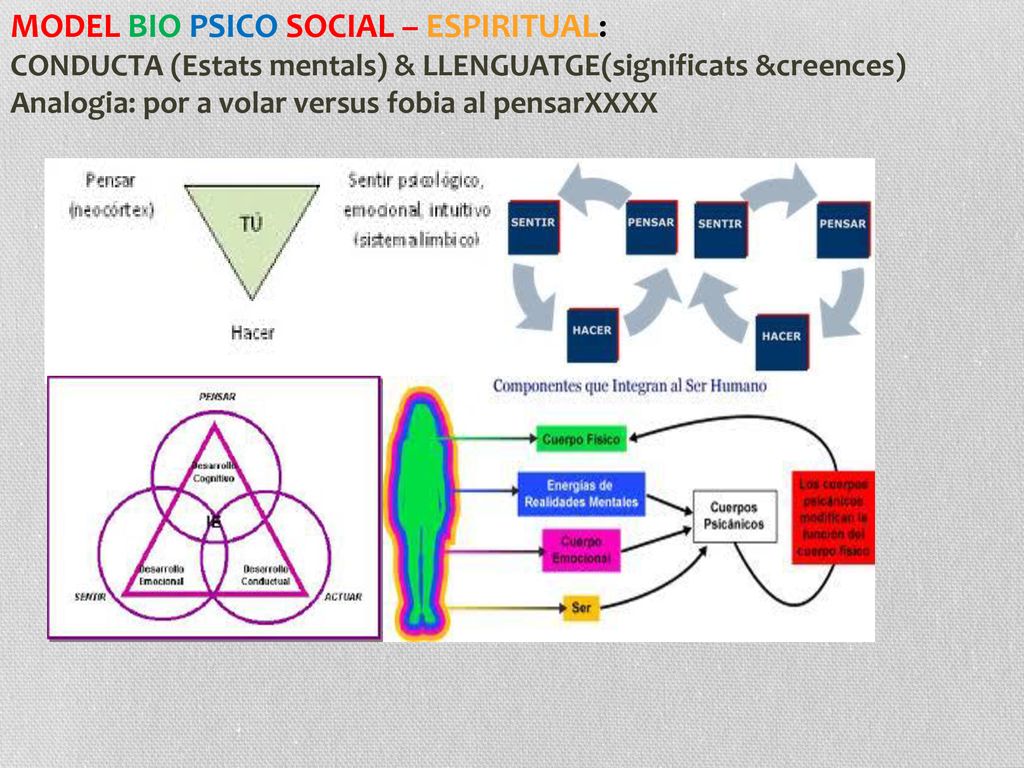 MODEL BIO PSICO SOCIAL – ESPIRITUAL: CONDUCTA (Estats mentals) & LLENGUATGE(significats &creences) Analogia: por a volar versus fobia al pensarXXXX