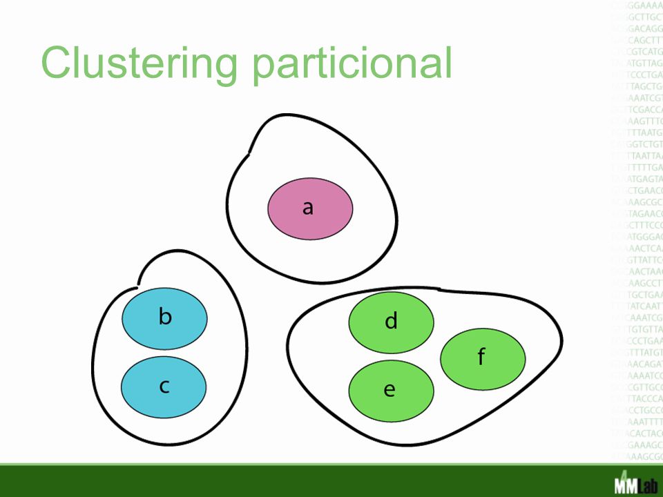 Clustering particional