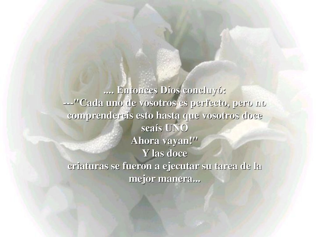 .... Entonces Dios concluyó: --- Cada uno de vosotros es perfecto, pero no comprendereis esto hasta que vosotros doce seaís UNO
