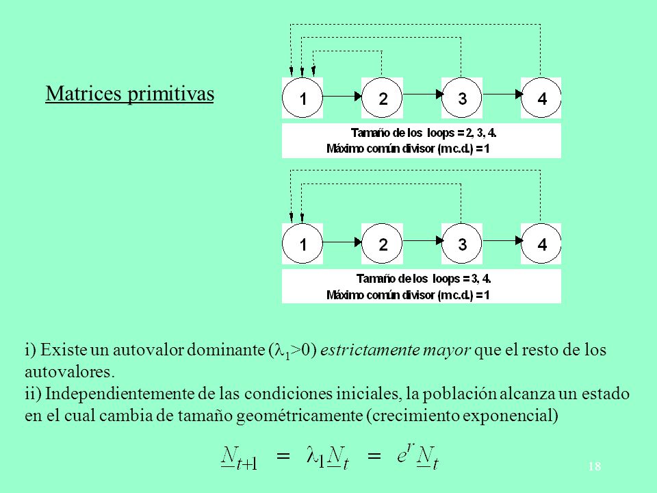 Matrices primitivas i) Existe un autovalor dominante (l1>0) estrictamente mayor que el resto de los autovalores.